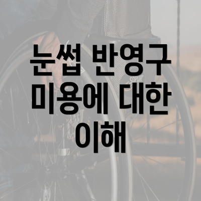 눈썹 반영구 미용에 대한 이해