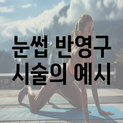 눈썹 반영구 시술의 예시