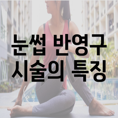 눈썹 반영구 시술의 특징