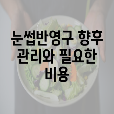 눈썹반영구 향후 관리와 필요한 비용