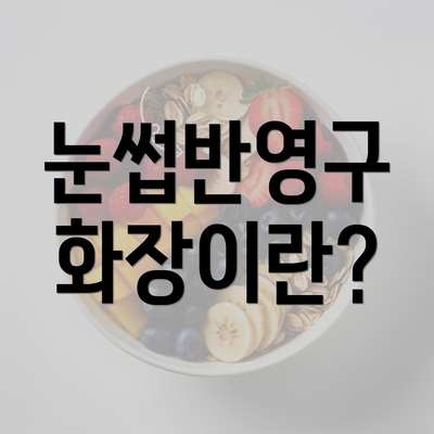 눈썹반영구 화장이란?