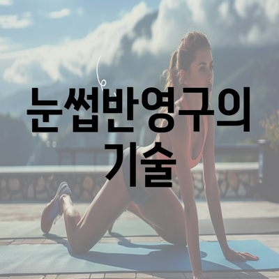 눈썹반영구의 기술