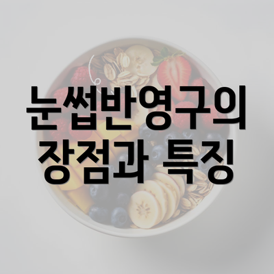 눈썹반영구의 장점과 특징