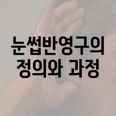 눈썹반영구의 정의와 과정