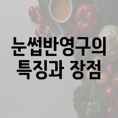 눈썹반영구의 특징과 장점