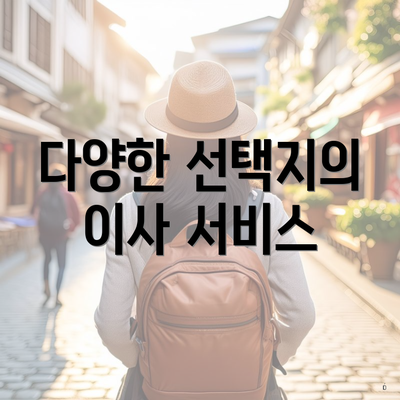 다양한 선택지의 이사 서비스