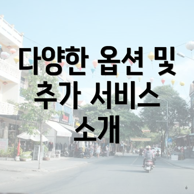 다양한 옵션 및 추가 서비스 소개