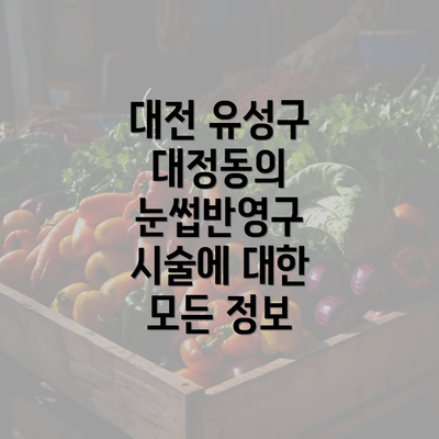 대전 유성구 대정동의 눈썹반영구 시술에 대한 모든 정보