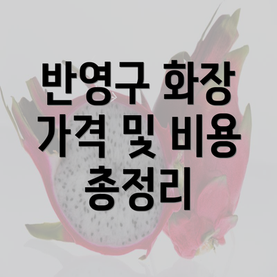 반영구 화장 가격 및 비용 총정리