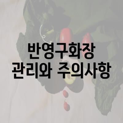 반영구화장 관리와 주의사항