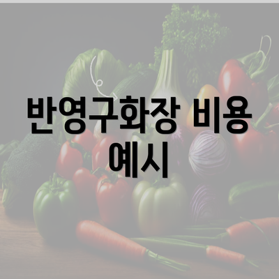 반영구화장 비용 예시