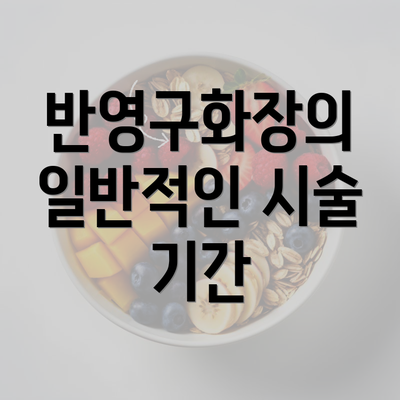 반영구화장의 일반적인 시술 기간