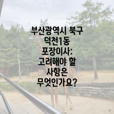 부산광역시 북구 덕천1동 포장이사: 고려해야 할 사항은 무엇인가요?