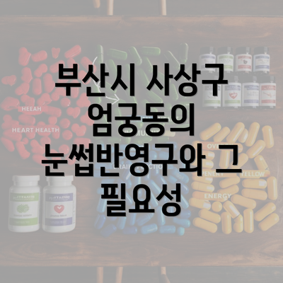 부산시 사상구 엄궁동의 눈썹반영구와 그 필요성