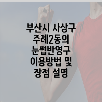 부산시 사상구 주례2동의 눈썹반영구 이용방법 및 장점 설명