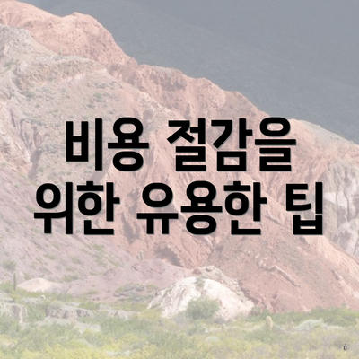 비용 절감을 위한 유용한 팁