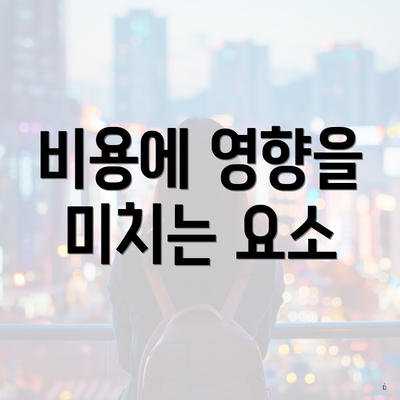 비용에 영향을 미치는 요소