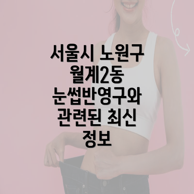 서울시 노원구 월계2동 눈썹반영구와 관련된 최신 정보