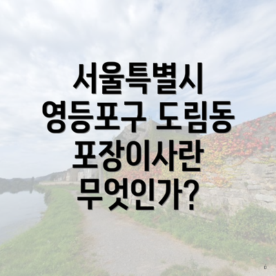 서울특별시 영등포구 도림동 포장이사란 무엇인가?