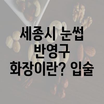 세종시 눈썹 반영구 화장이란? 입술