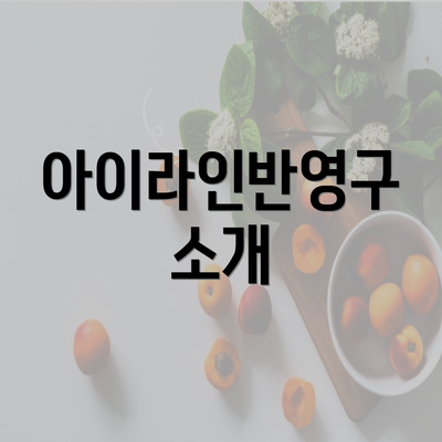 아이라인반영구 소개