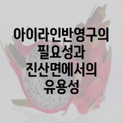 아이라인반영구의 필요성과 진산면에서의 유용성