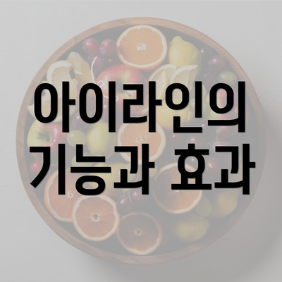 아이라인의 기능과 효과