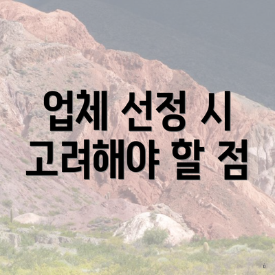 업체 선정 시 고려해야 할 점