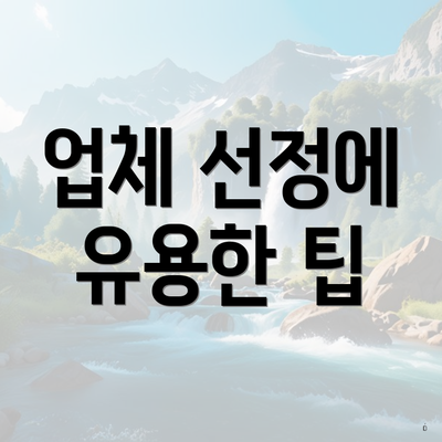 업체 선정에 유용한 팁