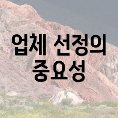 업체 선정의 중요성