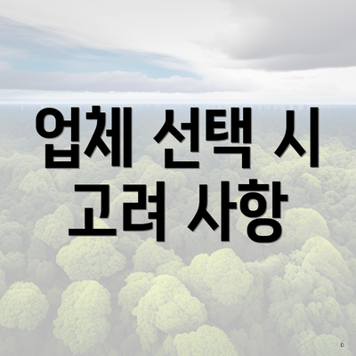 업체 선택 시 고려 사항