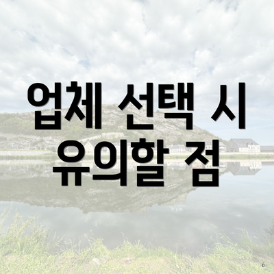 업체 선택 시 유의할 점