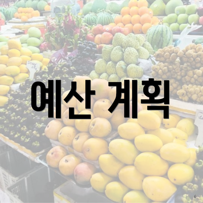 예산 계획