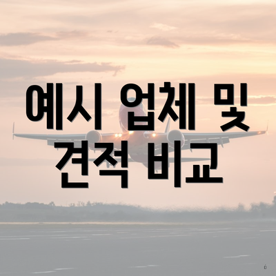 예시 업체 및 견적 비교