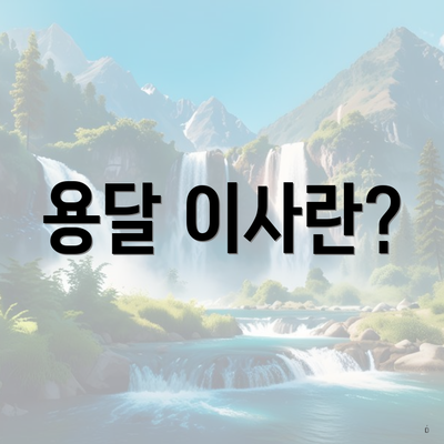 용달 이사란?
