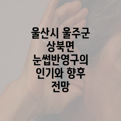 울산시 울주군 상북면 눈썹반영구의 인기와 향후 전망