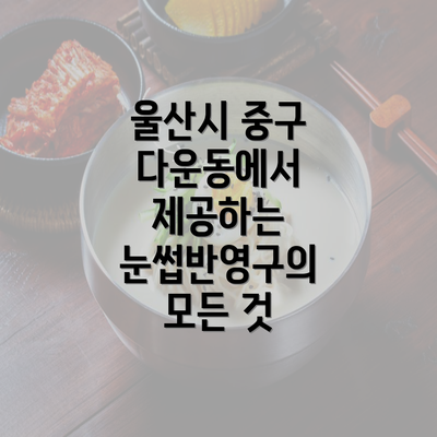 울산시 중구 다운동에서 제공하는 눈썹반영구의 모든 것