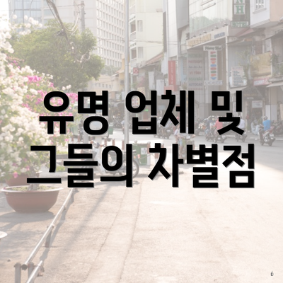 유명 업체 및 그들의 차별점