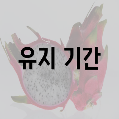 유지 기간