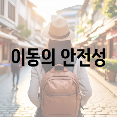 이동의 안전성