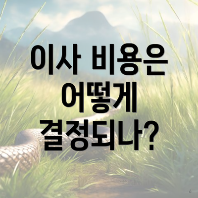 이사 비용은 어떻게 결정되나?