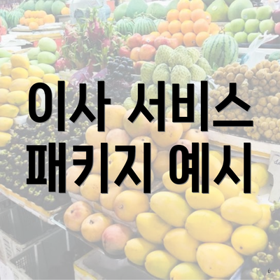 이사 서비스 패키지 예시