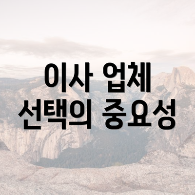 이사 업체 선택의 중요성