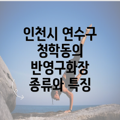 인천시 연수구 청학동의 반영구화장 종류와 특징