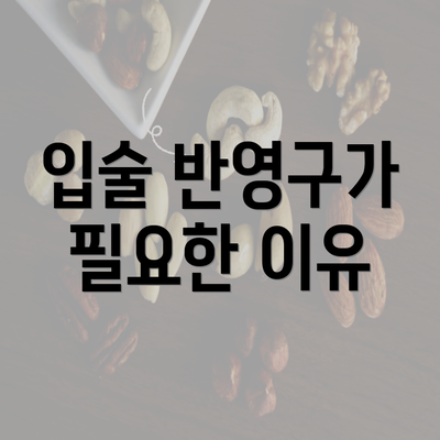 입술 반영구가 필요한 이유