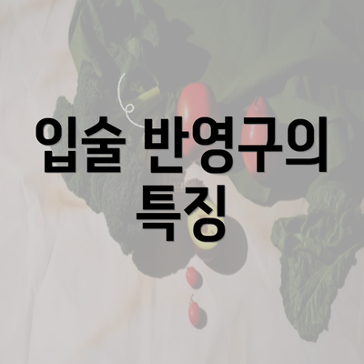 입술 반영구의 특징
