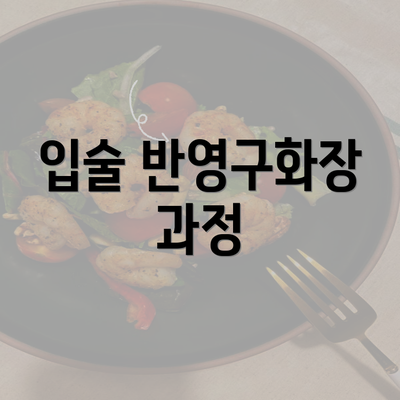 입술 반영구화장 과정