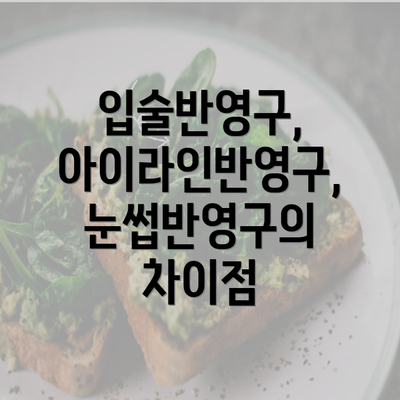 입술반영구, 아이라인반영구, 눈썹반영구의 차이점