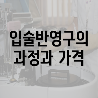 입술반영구의 과정과 가격