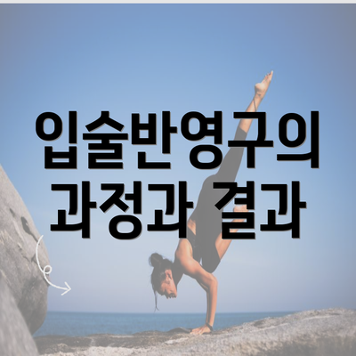 입술반영구의 과정과 결과